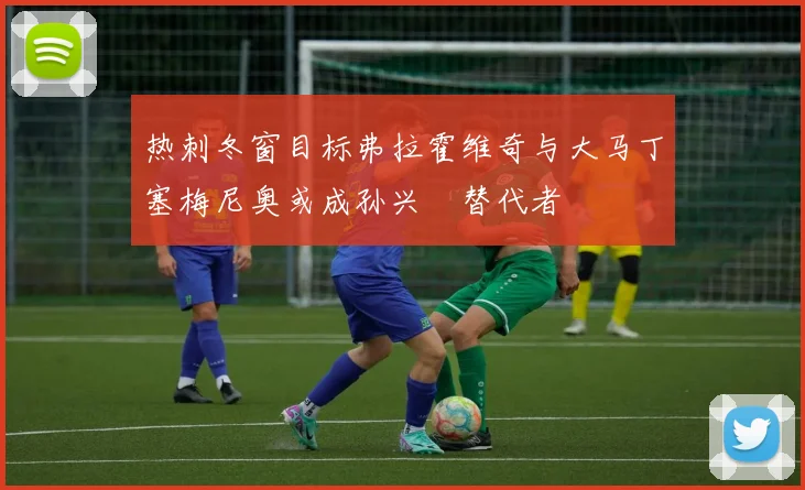 热刺冬窗目标弗拉霍维奇与大马丁塞梅尼奥或成孙兴慜替代者