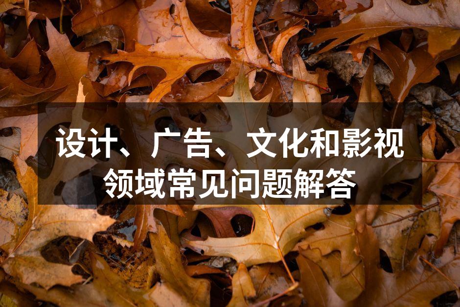设计风格选择示意图