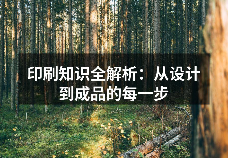 印刷过程中的设计准备